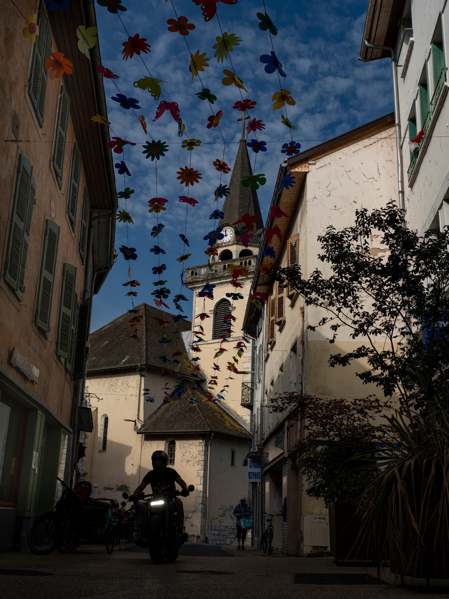 Sous un ciel de fleurs