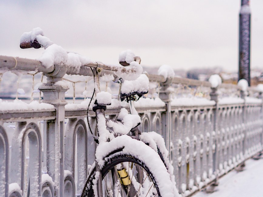 Le repos de l'hiver